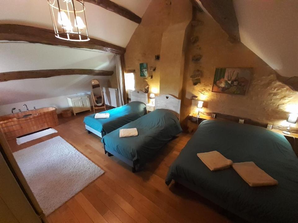 Maison De Blanche Chaudenay-le-Château Zewnętrze zdjęcie